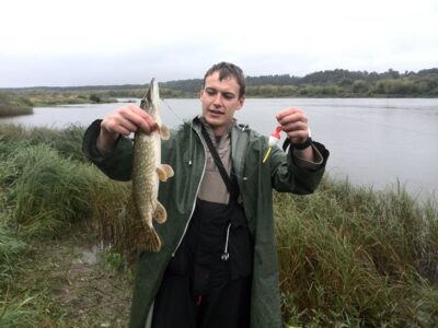Lydeka, 0,8 kg — Nemunas