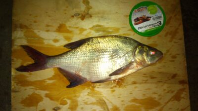 Karšis, 0,7 kg — Paežerių