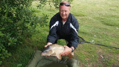 Paprastasis karpis, 3,7 kg