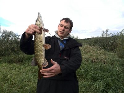 Lydeka, 1,2 kg — Nemunas