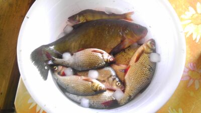 Lynas, 1,0 kg