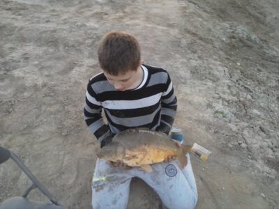 Paprastasis karpis, 5,2 kg