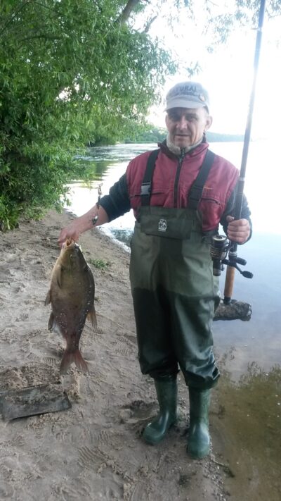 Karšis, 3,1 kg — Kauno marių