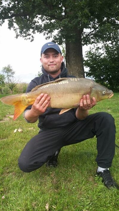 Paprastasis karpis, 7,5 kg