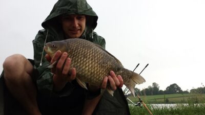 Auksinis karosas, 2,5 kg