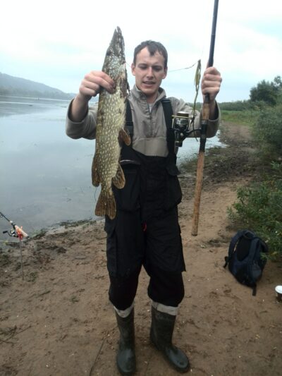 Lydeka, 1,5 kg — Nemunas