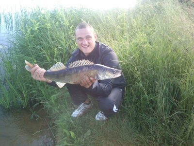 Starkis, 2,9 kg