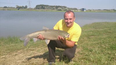 Baltasis amūras, 6,5 kg