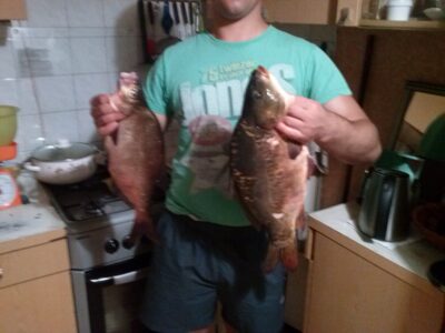 Paprastasis karpis, 2,5 kg — Ekrano gamyklos