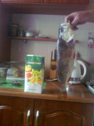 Ešerys, 1,5 kg