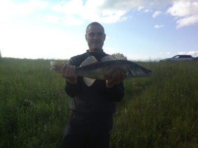 Starkis, 2,9 kg