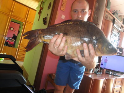 Paprastasis karpis, 2,2 kg — Ekrano gamyklos