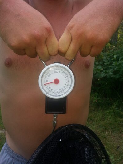 Karšis, 1,6 kg — Lielukas