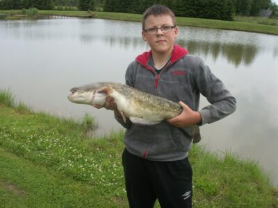 šamas, 4,0 kg