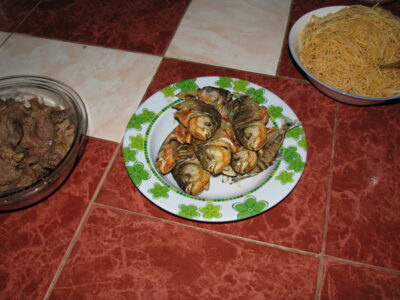 — Río Pagüey