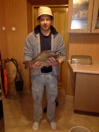 Auksinis karosas, 2,4 kg