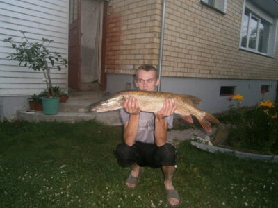 Lydeka, 5,2 kg