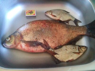 Karšis, 2,2 kg