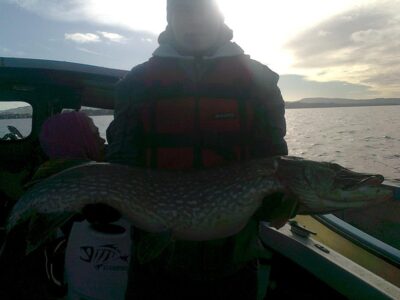 Lydeka, 13,4 kg
