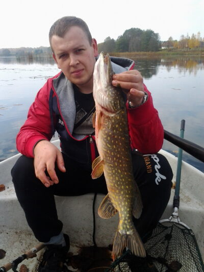Lydeka, 2,5 kg — Širvinta