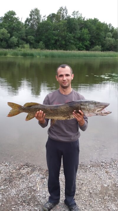 Lydeka, 6,3 kg