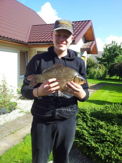 Auksinis karosas, 1,8 kg — Beržėnų