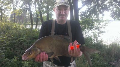 Karšis, 2,4 kg — Niedulis