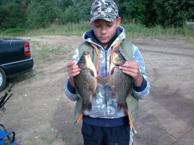 Sidabrinis karosas ×2