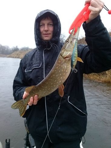 Lydeka, 2,0 kg — Nevėžis