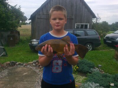 Lynas, 1,7 kg — Platelių