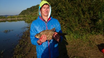 Karšis, 1,4 kg — Nemunas