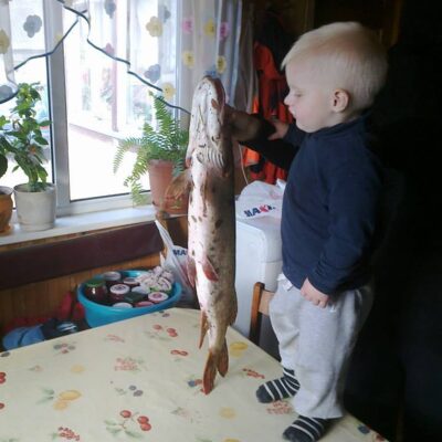 Lydeka, 3,3 kg