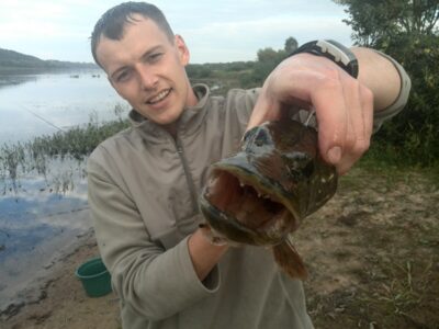 Lydeka, 1,6 kg — Nemunas