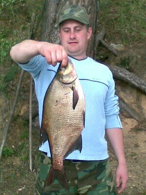 Karšis, 2,0 kg — Baluošas