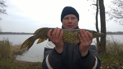 Lydeka, 2,2 kg — Rašai