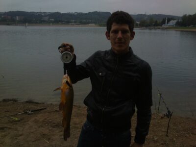 Lynas, 1,3 kg — Lampėdis