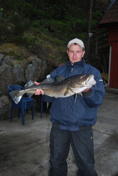 Menkė, 5,0 kg