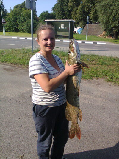 Lydeka, 5,2 kg