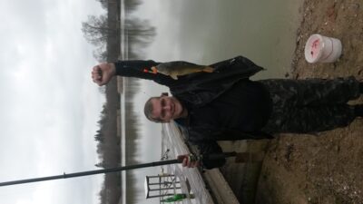Paprastasis karpis, 1,4 kg