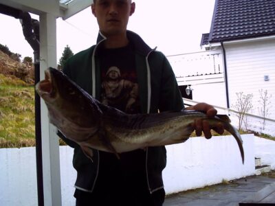 Menkė, 7,0 kg