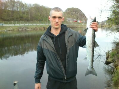 Atlantinė lašiša, 4,0 kg