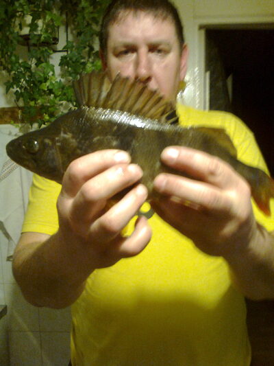 Lydeka, 0,7 kg