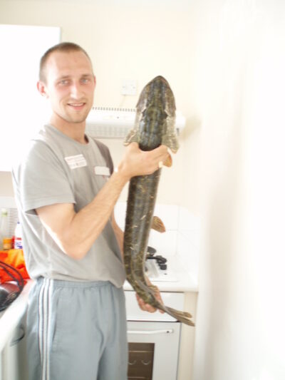 Lydeka, 8,0 kg