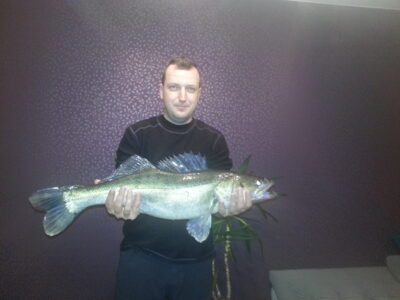 Starkis, 4,5 kg — Nemunas