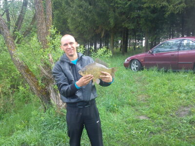 Auksinis karosas, 2,0 kg — Vaidatonių