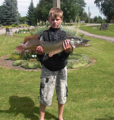 Lydeka, 4,7 kg