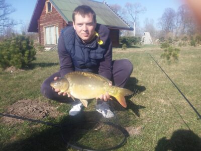 Paprastasis karpis, 5,0 kg