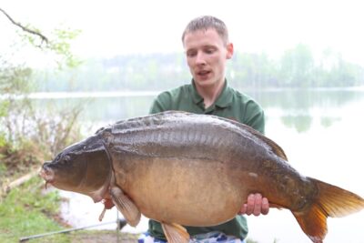 Paprastasis karpis, 14,5 kg — Ilgis