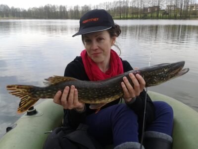Lydeka, 1,7 kg — Melkys