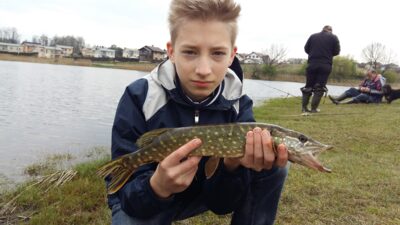 Lydeka, 0,8 kg — Riešės